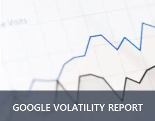 Google Volatility Report