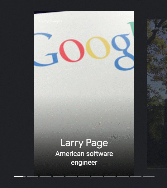 Larry Page Web Story